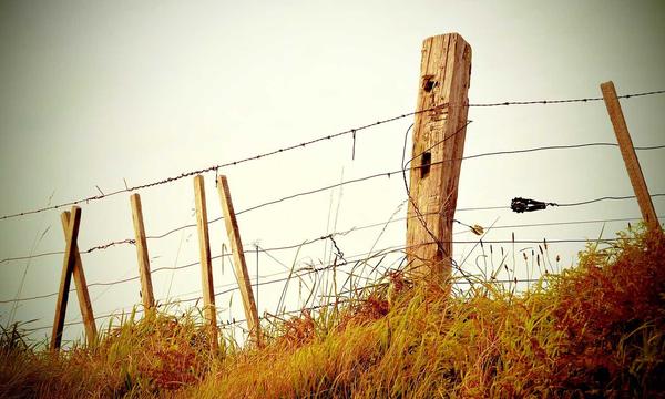 欧冠决赛巅峰对决，皇家马德里与曼彻斯特城球员争夺球权的激烈瞬间，全场灯光璀璨