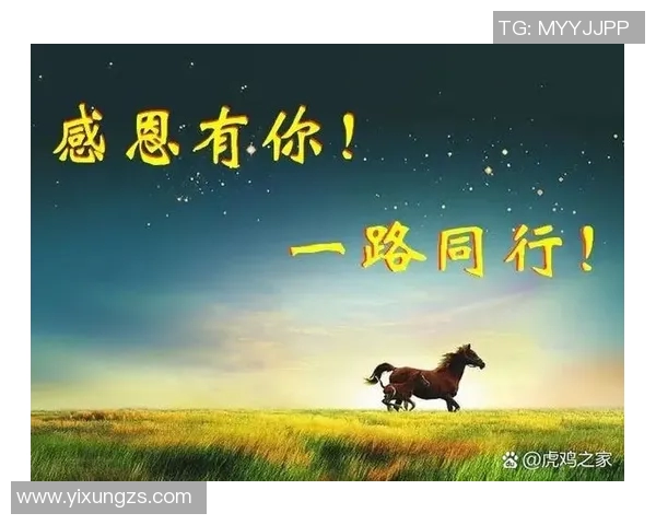 苏伟的奋斗之路：从平凡到卓越的成长故事与人生启示